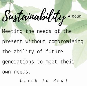 Shopping with a Conscience